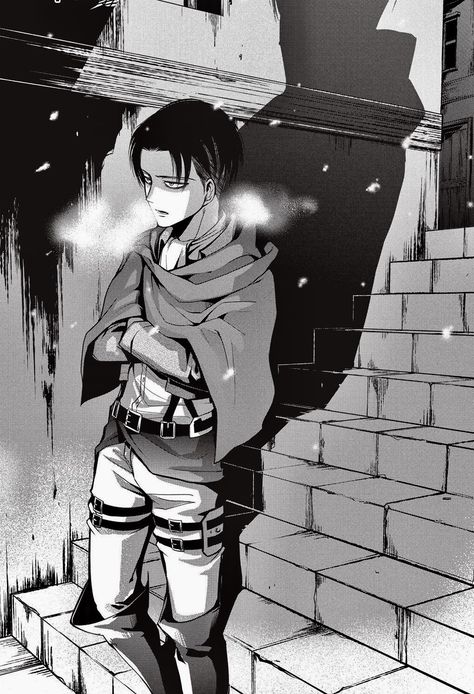 Levi Ackerman Levi Manga, Captain Levi, 강아지 그림, Ciel Phantomhive, No Regrets, Attack On Titan Levi, Attack On Titan Art, Manga Pages, Anime Wall Art