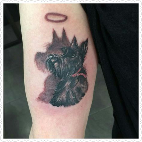 Scottish terrier tattoo lolita Scottie Tattoo, Scottish Terrier Tattoo, Terrier Tattoo, Tattoo Bar, Scottie Puppies, Dog Memorial Tattoos, Pawprint Tattoo, Scottie Terrier, Scotty Dog