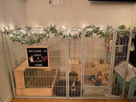 Rabbit Apartment Set Up, Rabbit Cage Aesthetic, Boho Bunny Cage, House Rabbit Setup Ideas, Diy Bunny Cage Indoor House Rabbit Ideas, Indoor Bunny Setup Small Space, Bunny Play Pen Ideas, Bunny Play Area, Bunny Pen Indoor