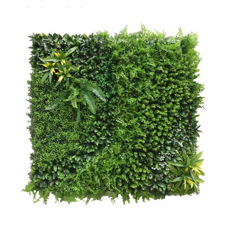 PRICES MAY VARY. Excellent Quality: Boxwood hedge faux tile panels are made of High-Density Polyethylene for durability and UV protection. Fresh-looking plastic leaves keep their evergreen look year-round. Not easily faded. Privacy Screen: Each artificial boxwood panel is 20x20 inch. Realistic appearance through leaves that are taller 5 layered. Denser grass wall decor panels, 400 stitches per tile panel, are not “see-through” and offer better privacy hedges. Easy to Install: No additional hardw Fast Growing Privacy Shrubs, Ivy Privacy Fence, Greenery Wall Decor, Hedge Plants, Shrubs For Privacy, Artificial Grass Wall, Artificial Green Wall, Fence Screen, Privacy Fence Screen