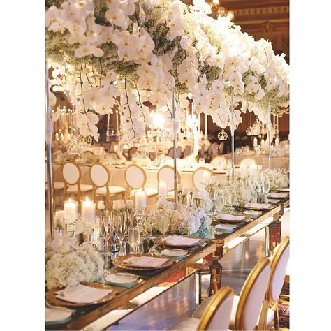 Fairy Tail Wedding Theme, Fairy Lights White, Wedding Supper, Fairmont Hotel Vancouver, Lux Wedding, Fairy Tail Wedding, Tall Wedding Centerpieces, Handmade Wedding Dresses, White Wedding Theme