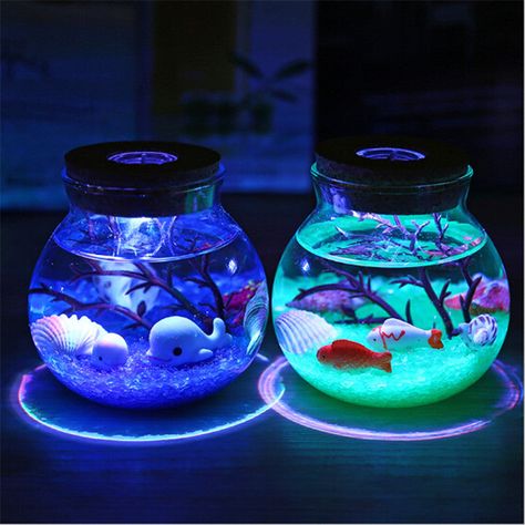 Ocean Bottle, Fish Bowls, Aquarium Led, Fish Lamp, Led Aquarium, Ocean At Night, Desain Buklet, Led Night Lamp, Stone Ocean