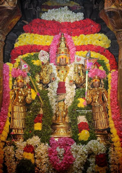 Murugan Thirukalyanam Images, Murugan Thirukalyanam, Murugan Valli Deivanai Hd Images, Tiruchendur Murugan Images Hd, Murugan Images Hd, Tiruchendur Murugan, Lord Palani Murugan Hd Wallpaper, Murugan Hd Wallpaper, Cute Murugan Images