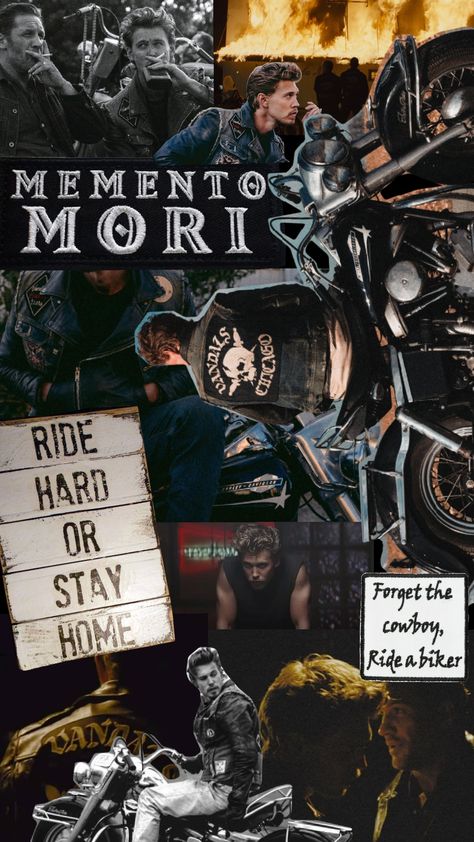 the bikeriders wallpaper//austin butler The Bikeriders Wallpaper, The Bikeriders Aesthetic, The Bikeriders Austin Butler, Ross Butler Wallpaper, Bikeriders Aesthetic, Austin Butler Wallpaper Iphone, Austin Butler Wallpaper, Drew Starkly, Austin Butler Aesthetic