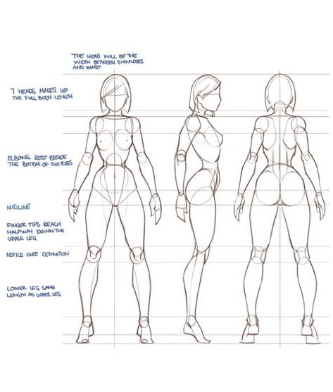 Repinned by www.BlickeDeeler.de bluetaffy: Not a huge fan of this style but it's a good ref.: Character Design Cartoon, Anatomy Tutorial, Siluete Umane, Body Sketches, Human Figure Drawing, Human Drawing, Anatomy Sketches, Body Reference Drawing, Tattoo Girls