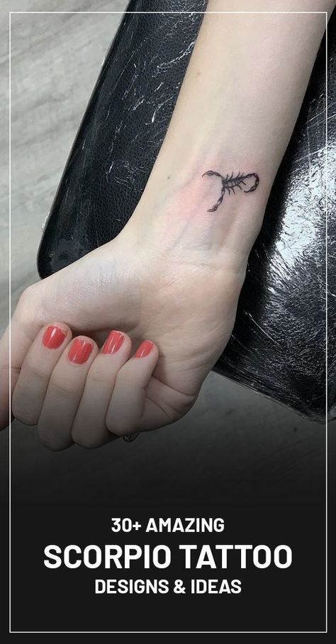 Siccors Tattoos, New Begginings Tattoos, Feminine Scorpion Tattoo Ideas, Small Scorpion Tattoo Woman, Feminine Scorpio Tattoo, Fine Line Scorpion Tattoo, Small Scorpion Tattoo, Scorpion Tattoo Feminine, Scorpion Tattoo Design