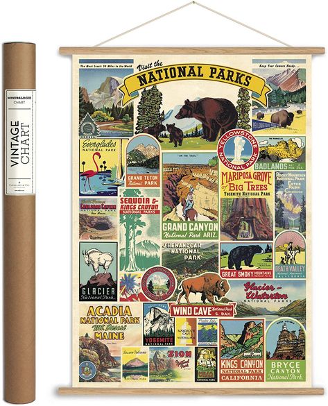 Cavallini Poster, National Parks Art, Bryce National Park, Wind Cave National Park, Colorful Room, Poster Hanging, Kings Canyon National Park, Vintage Inspired Art, Fun Summer Activities