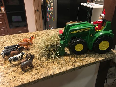 Elf on the self! Feeding the farm animals, elf on the tractor Farming Elf On The Shelf, Elf On The Shelf Excavator, Western Elf On The Shelf, Real Elf On The Shelf, Farm Elf On The Shelf Ideas, Elf On The Shelf Tractor Ideas, Country Elf On The Shelf Ideas, Elf On The Shelf Farm Ideas, Elf On The Shelf Tree Farm