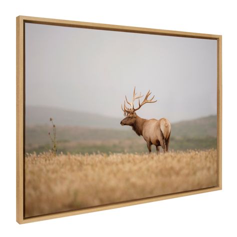 Experience the peace of the calm mountainside and a wandering elk. This is the perfect piece for someone seeking a lovely natural accent. Hunting Lodge Decor, Lynn Collins, Elk Photography, North American Animals, Deer Pictures, Deer Wall, Photography Decor, Animal Wall Decor, Bedroom Nursery