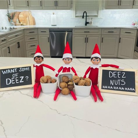 Snoop Dog Christmas, Elf On Shelf Funny, Elf Ideas Easy, Elf Pets, Elf Names, Hot Chocolate Gift, Awesome Elf On The Shelf Ideas, The Memes, Elf Activities