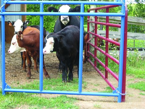 Explore S&B Custom Innovation's cattle creep feeder panel. Design perfection ensuring easy and effective feeding for livestock. Creep Feeders For Calves Diy, Cow Feeder, Show Cattle Barn, Cattle Fence, Cattle Pens, Cattle Facility, Cattle Feeder, Cattle Corrals, Diy Horse Barn