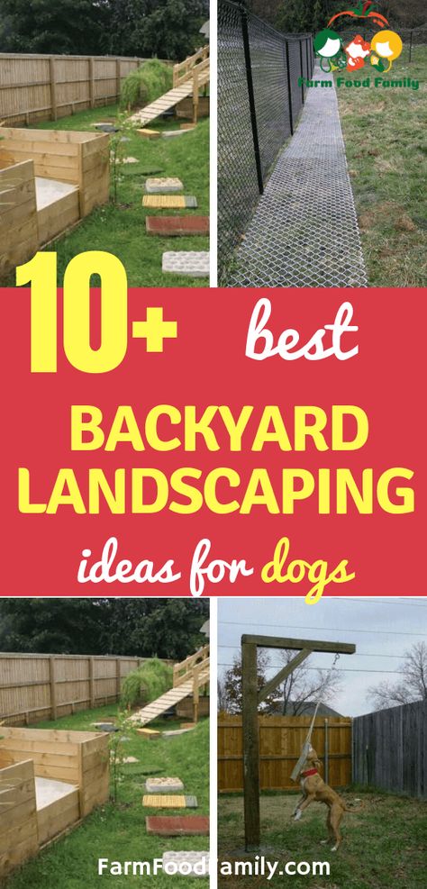 Dog Yard Landscaping, Patio Ideas For Dogs, Pet Friendly Backyard, Outdoor Dog Area, Backyard Dog Area, Dog Play Area, Dog Friendly Garden, Dog Friendly Backyard, Dog Backyard