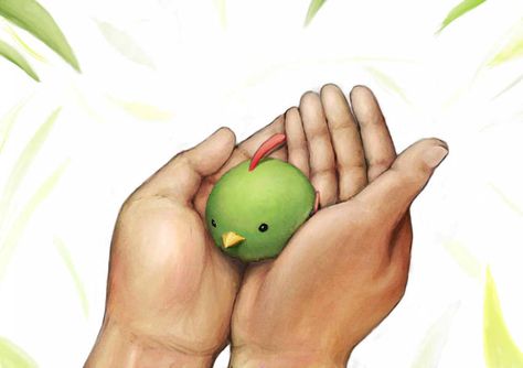 Natu.  <3 <3 <3 Natu Pokemon, Pokemon Fashion, Making Pins, Pokemon Wallpaper, Chat App, Catch Em All, Pocket Monsters, Kpop Idols, Mobile Apps