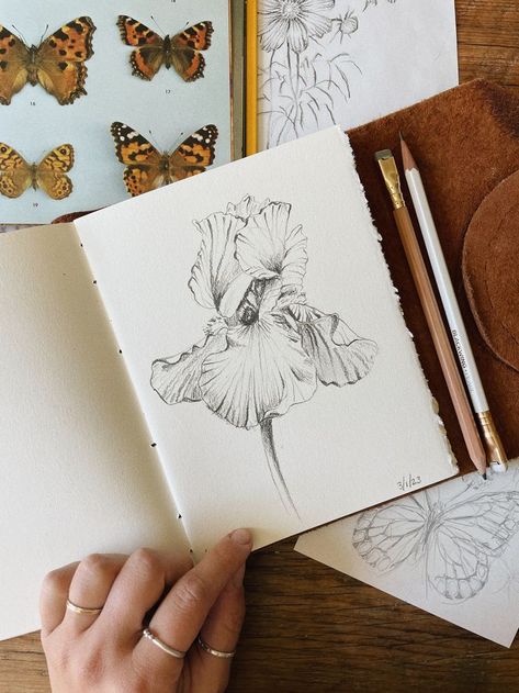 Iris Drawing Tutorial, Drawing Tutorial Flower, Lilac Sketch, Iris Sketch, Iris Drawing, Wallpaper Doodle, Flower Sketches, Watercolor Sketchbook, Butterfly Drawing