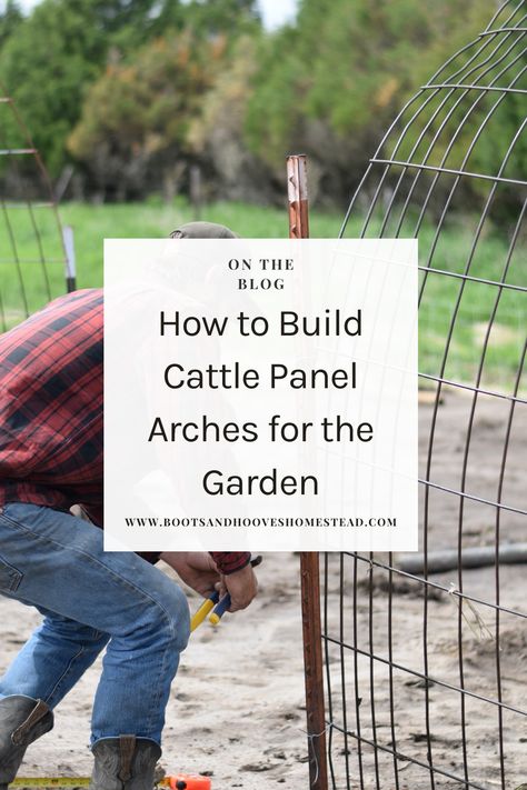 Transform your garden into a stunning oasis and learn how to build a garden arch trellis — simply. This easy diy cattle panel archway is a simple project that will elevate your vegetable garden that doesn’t take much time! You’ll have a simple diy arch trellis in under 20 minutes! Building an arched trellis with cattle panels and T-posts is a sturdy and practical way to support climbing plants like vines, cucumbers, or tomatoes while adding an attractive architectural element to your garden. Cattle Panel Arch Trellis, Trellis Cattle Panel, Diy Trellis Archway, Diy Garden Arch Trellis, Diy Arch Trellis, Diy Arbor Trellis, Trellis Diy Garden, Arched Trellis, Cattle Panel Trellis