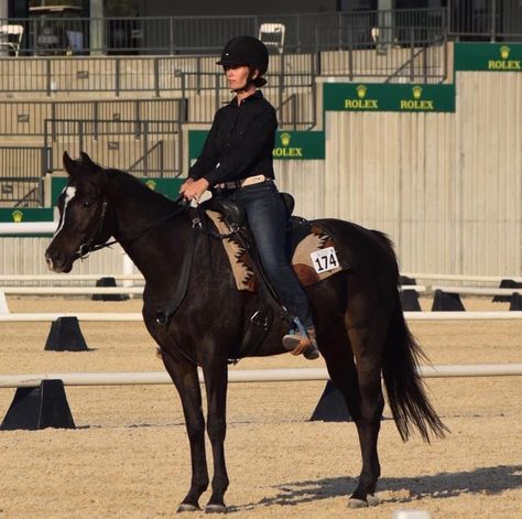 Two of our writers have been competing in western dressage — and they’re hooked! Read how Ashley Francese rediscovered her love of dressage through western dressage and learn how to get involved. Western Dressage, Dressage Arena, Horse Breeder, Horseback Rider, Western Riding, Western Pleasure, Miniature Horse, Horse Training, Veterinarian