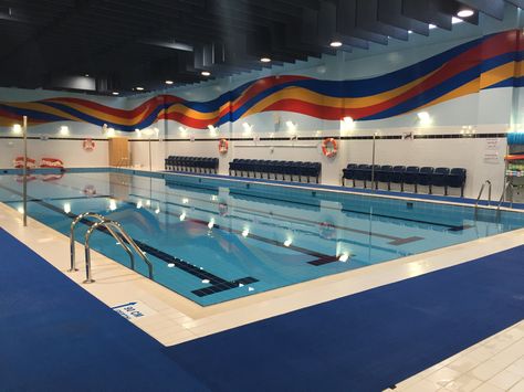 swimming pool at the school School Swimming Pool Aesthetic, Swimming Pool Business Ideas, Swimming Pool Designs For School, Swim School Design, School Swimming Pool, Luxury School, School Pool, Familiar Places, Building A Swimming Pool