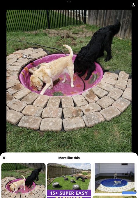 Dog Run Decor Ideas, Pools For Dogs, Backyard Dog Area Ideas Diy, Outdoor Dog Oasis, Dog Outdoor Area, Dog Runs Ideas Backyard, Dog Yard Ideas Play Areas, Diy Outdoor Dog Area, Diy Dog Park