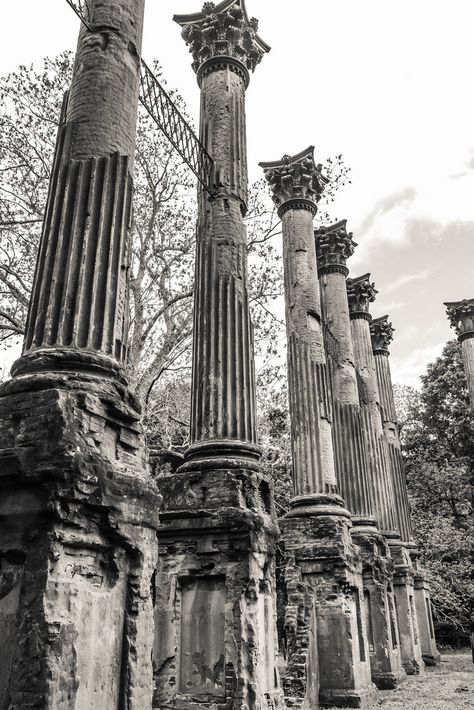 Antebellum Mansions, Windsor Ruins, Natchez Trace Parkway, Southern Mansions, Southern Architecture, Natchez Trace, Beautiful Ruins, Rainy Morning, Southern Gothic