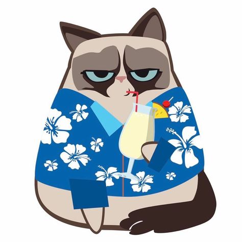 Grumpy Cat Cartoon, Grumpy Cat Art, Grumpy Cat Quotes, Rock Dance, Tiny Art, Cartoon Toys, Cat Quotes, Cat Stuff, Grumpy Cat