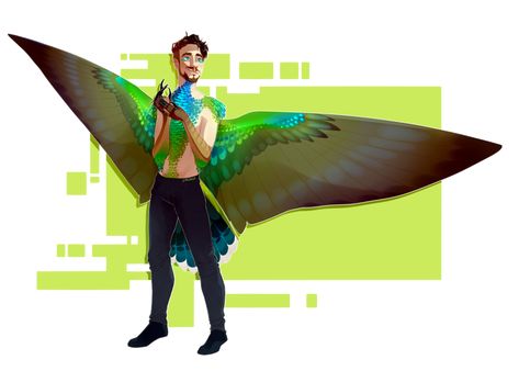 jacksepticeye except he's a hummingbird (credit to caosgii on DeviantArt) Human Wings, Hummingbird Wings, Winged People, Wing Art, Bird People, Hybrid Art, Wings Drawing, Oc Inspiration, Monster Characters