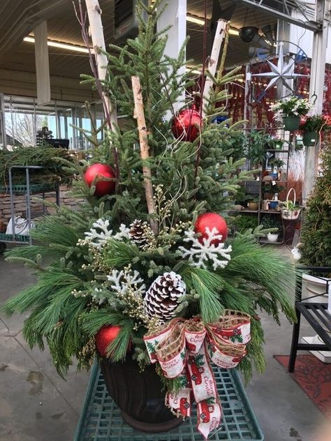 Christmas Potted Arrangements, Diy Spruce Tip Pots, Porch Pot Ideas For Christmas, Christmas Pot Decorations Outdoor, Spruce Pot Ideas, Spruce Tops Planters, Potted Christmas Tree Outdoor, Spruce Top Planter Ideas, Porch Pots Ideas Christmas