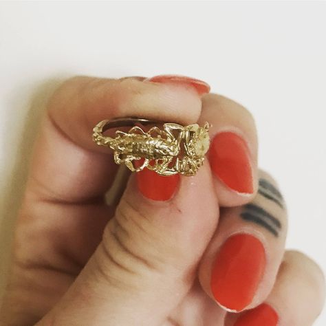 Scorpion Jewelry, Real Scorpion, Scorpio Ring, Scorpion Ring, Fantasy Ring, Dope Jewelry, Brass Bracelet, Detailed Ring, Funky Jewelry