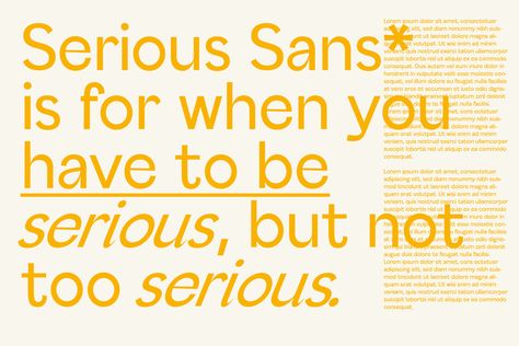 See more details and purchase Serious Sans on #Behance Copy And Paste Fonts, Sans Serif Logo, Web Logo, Serif Logo, Modern Typeface, Isometric Design, Typography Poster Design, Graphic Design Fonts, Creative Fonts