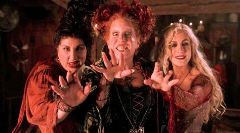 Hocus Pocus Gif, Thackery Binx, Hocus Pocus 1993, Hocus Pocus Movie, Hocus Pocus 2, Best Halloween Movies, Sanderson Sisters Hocus Pocus, Halloween Gif, Mazzy Star