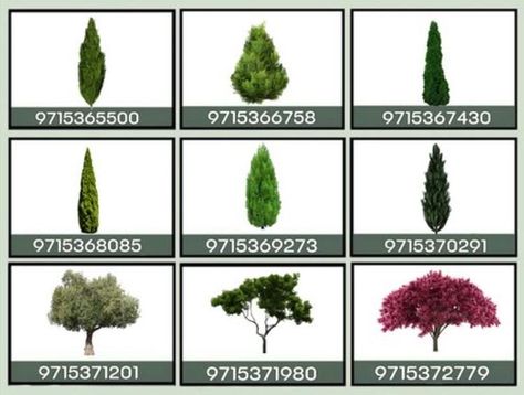 Plant Decal Codes For Bloxburg, 7ious Bloxburg Decals, Bloxburg Fake Plant Decals, Bloxburg Realistic Tree Codes, Bloxburg Grass Decals, Vine Codes Bloxburg, Realistic Plant Codes Bloxburg, Bloxburg Realistic Tree Decal Codes, Realistic Tree Decals Bloxburg