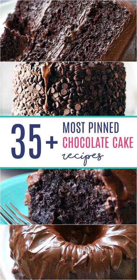 35+ of the Most Pinned Chocolate Cake Recipes including The Best Chocolate Bundt Cake, Texas Sheet Cake, and TWO recipes for Chocolate Blackout Cake! Luscious Recipes, Cake With Frosting, Chocolate Cake Recipes, Most Pinned, 2 Cake, Chocolate Bundt Cake, Special Cakes, Chocolate Cakes, Special Cake