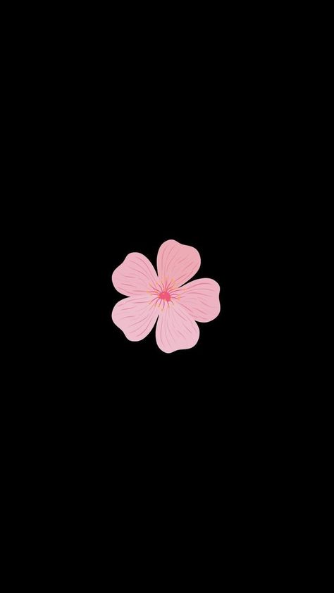 Flower Dp For Instagram, Whatsapp Chat Wallpaper Backgrounds, Black And Pink Aesthetic Wallpaper, Dp For Insta, Cute Dp, Iphone 6s Wallpaper, Cute Iphone Wallpaper Tumblr, Cute Backgrounds For Iphone, Wallpaper Wa