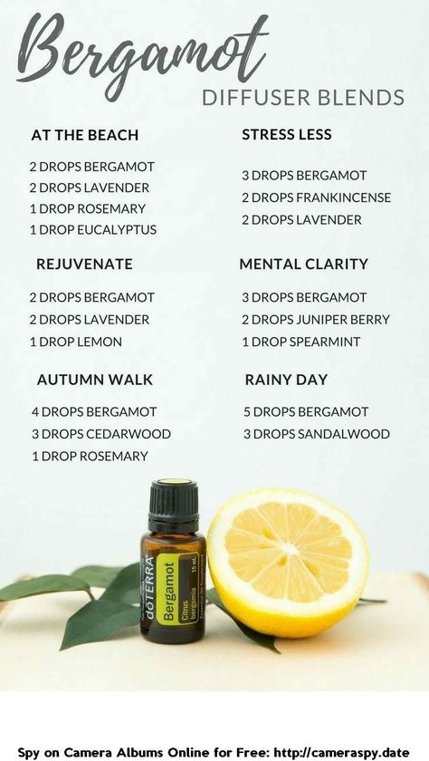 Bergamot Recipes, Bergamot Diffuser Blends, Best Essential Oil Blends, Witch Potions, Eo Blends, Essential Oil Combinations, Doterra Essential Oils Recipes, Essential Oil Diffuser Blends Recipes, Young Living Essential Oils Recipes