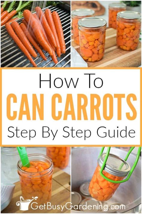 Pressure Can Carrots, Preserving Carrots Canning Recipes, How To Preserve Carrots From The Garden, How To Blanch Carrots, Canning Carrots Celery And Onions, How To Can Carrots In A Water Bath, How To Can Carrots, Water Bath Canning Carrots, Canning Carrots Pressure