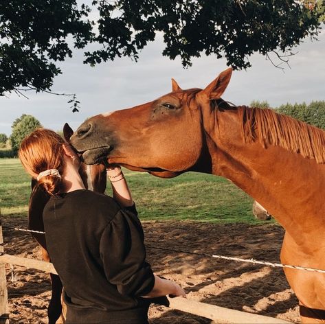 Redhead Cowgirl Aesthetic, Red Horse Aesthetic, Willa Grant, Chestnut Springs, Elsie Silver, Cowboy Romance, Horse Aesthetic, By Any Means Necessary, Ginger Girls