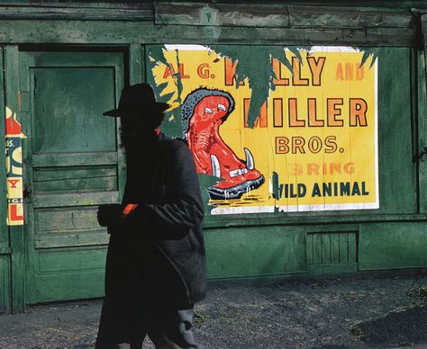 Fred Herzog Fred Herzog, Vancouver Art Gallery, Saul Leiter, Walker Evans, William Eggleston, Color Film, Street Photographers, Colour Photograph, Wild Animal