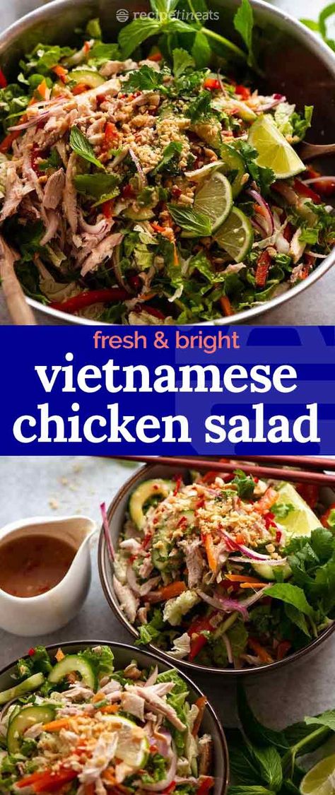 Rainbow Vietnamese Chicken Salad, Vietnamese Chicken Salad Milk Street, Vietnamese Potluck Dishes, Vietnamese Salad Recipes, Vietnamese Bowls, Vietnamese Chicken Salad, Summer Lunch Recipes, Vietnamese Salad, Tin Eats