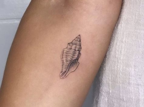 Sienna Tattoo, Tattoo Esthetics, Tattoo Seashell, Sea Shell Tattoo, Sea Tattoos, Tattoo Tube, Shell Tattoo, Seashell Tattoos, Shell Tattoos