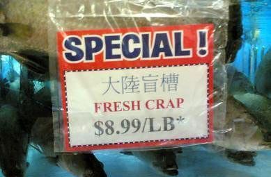 The world's worst typos – in pictures Funny Typos, Chinese Signs, Translation Fail, Funny Translations, Garage Punk, Bad Translations, Bad Grammar, You Had One Job, Lost In Translation