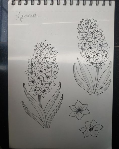 Hyancith Flower Tattoo, How To Draw Hyacinth Flower Step By Step, Hycanith Flower Drawing, Purple Hyacinth Flower Drawing, Purple Hyacinth Flower Tattoo, Hycanith Flower Tattoo, Hyacinth Flower Drawing Simple, Hyacinth Tattoo Simple, How To Draw Hyacinth Flower