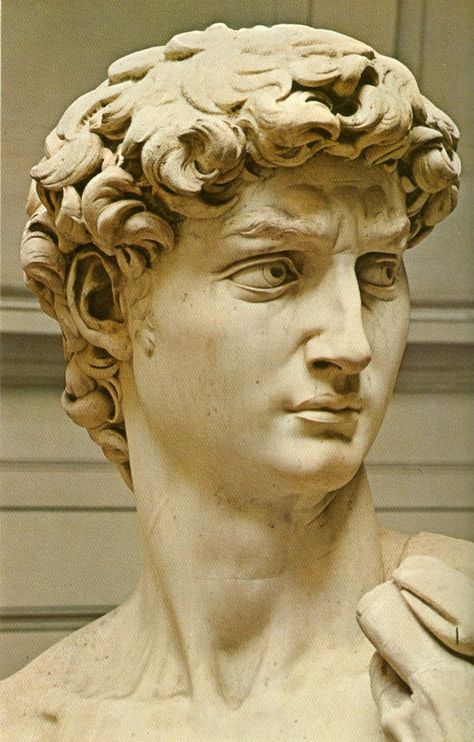 Michelangelo's "David" Michelangelo David Painting, Statue Of David Painting, David Michelangelo Drawing, David Michaelangelo, Michaelangelo David, David Head Sculpture, David By Michelangelo, Michelangelo Sculpture, Michelangelo David