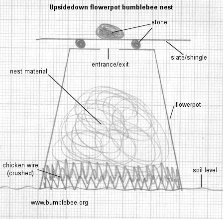 Bumble Bee House Diy, Bumble Bee House, Bumblebee House, Nesting Box Plans, Bumble Bee Nest, Bee Nest, Slate Shingles, Tiny Garden Ideas, Bee Houses