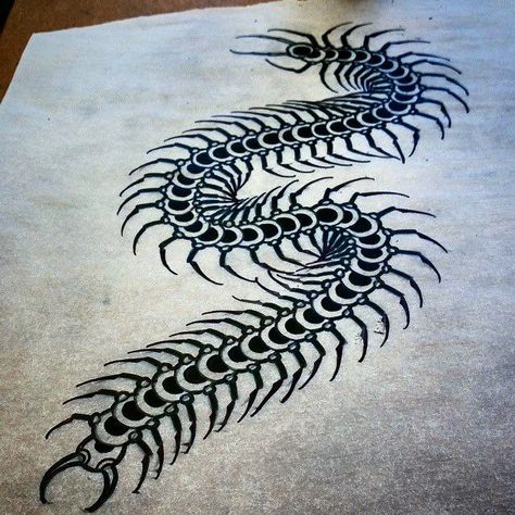 Centipede Tattoo, Traditional Tattoo Drawings, Neo Tattoo, Aries Art, Cute Tats, Insect Tattoo, Cool Tattoos For Guys, Traditional Tattoo Art, Tattoo Style Drawings