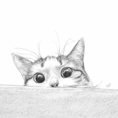 Persian Cat Drawing, Cat Drawings, Hidden Pictures, Mini Drawings, Persian Cat, Book Art Drawings, Cat Tattoo, Cat Drawing, الرسومات اللطيفة