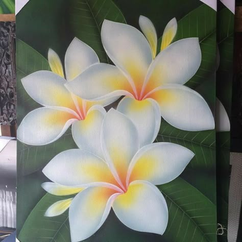 Acrylic Wallpaper, Flowers Painting Acrylic, White Frangipani, Wallpaper Painting, Fine Art Acrylic, Art Houses, Flower Drawing Design, Acrylic Painting Flowers, Best Flowers