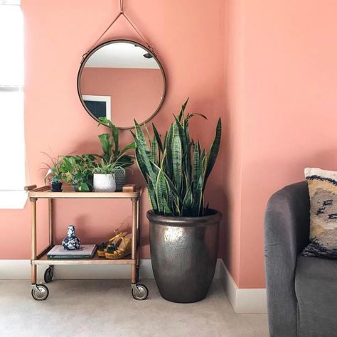 Create a space that you can thrive and prosper in. Whether this space is used to work on your side hustle or to just relax and breathe, it’s important to have. ✨ Pc: @findingpaola Salmon Bedroom, Perfection Is Boring, Pink Kitchen Walls, Beige Bank, Peach Walls, Living Room Wall Color, Accent Wall Colors, Room Wall Colors, Life Is Art