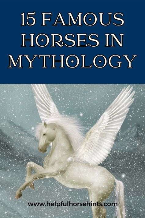 Mythologies and fables are some of the biggest components of human civilization. It isn’t only humans, gods, demigods, or mythical creatures that have roles in all these mythologies, there are also some animals that exist in our world such as horses. Here are some of the famous horses in mythology that you might’ve never heard of. #mythologicalcreatures #greek #art #norse #helpfulhorsehints Celtic Mythology Creatures, Horse Mythology, Sphinx Mythology, Magical Creatures Mythology, Greek Mythical Creatures, Dragon Horse, Irish Folklore, Famous Horses, Myths & Monsters