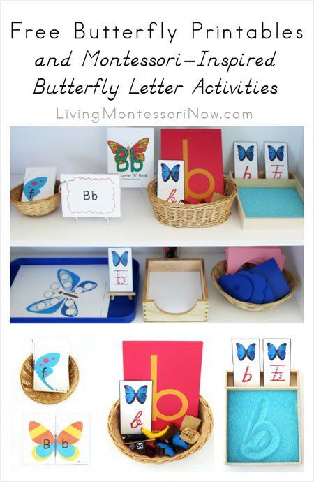 Free Butterfly Printables and Montessori-Inspired Butterfly Letter Activities Free Butterfly Printables, Butterflies Activities, Insect Activities, Montessori Ideas, Montessori Education, Montessori Classroom, Letter Activities, Homeschool Printables, Spring Is In The Air