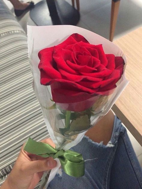 Flowers 🌺 on Twitter: "… " Love Rose Flower, Aesthetic Roses, Beautiful Rose Flowers, Rose Wallpaper, Love Rose, Love Flowers, Flower Wallpaper, Red Rose, Beautiful Roses