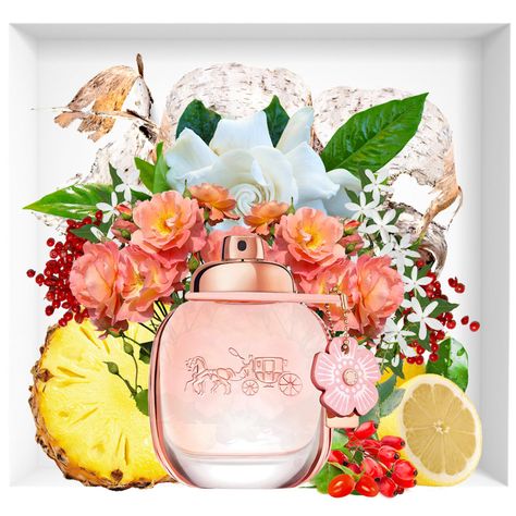 Coach Floral Blush Perfume, Coach Floral Blush, Blush Perfume, Coach Perfume, Coach Fragrance, Happy Perfume, Spring Fragrances, Perfume Art, Coach Floral